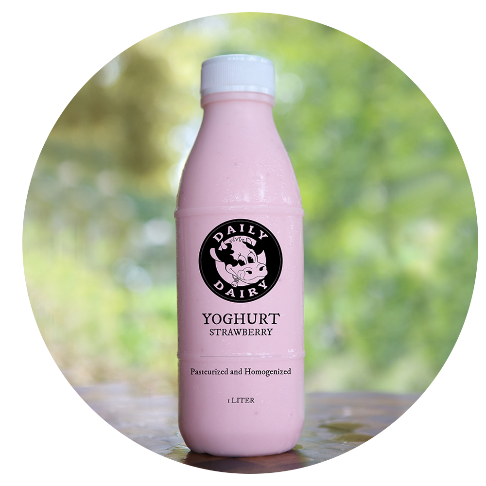 what we offer yoghurt